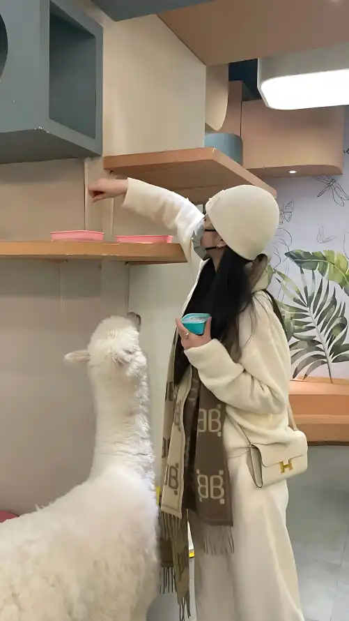 无码中文字幕av带剧情_国产成人综合在线观看不卡_pg电子试玩网站